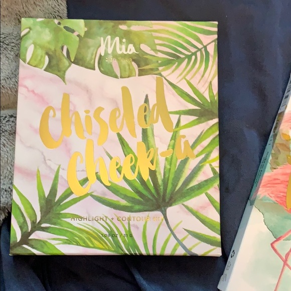 New!!! Set of Mia Del Mar Blush and Bronzer - Picture 4 of 6